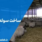 ساخت سوله دامداری گوسفندی
