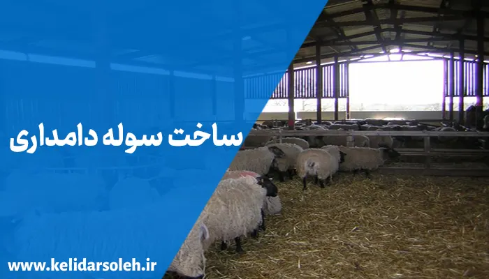 ساخت سوله دامداری گوسفندی